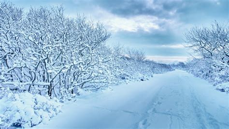 Snowy HD Wallpapers 3840x2160 - WallpaperSafari