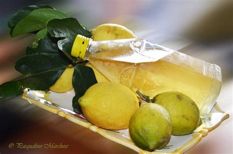 Arriba Imagen Receta Limoncello Siciliano Abzlocal Mx