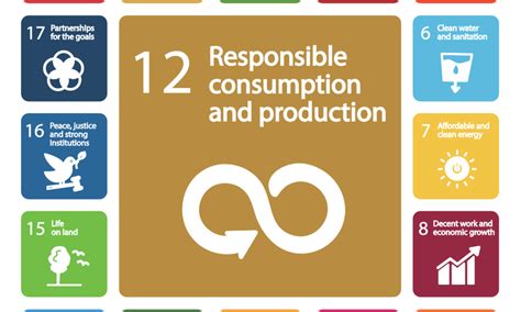 Un Sdg 12 Photos Wwf