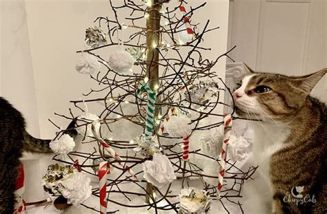 How To Keep Your Cat Away From Your Christmas Tree