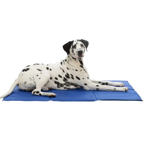 Matelas Rafraîchissant pour chiens Trixie DYNO CA