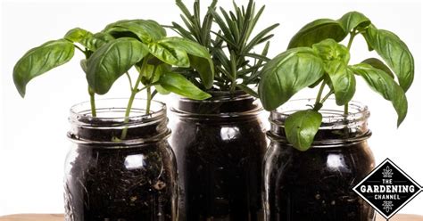 How To Test Your Soil With Just A Mason Jar Gardening Channel