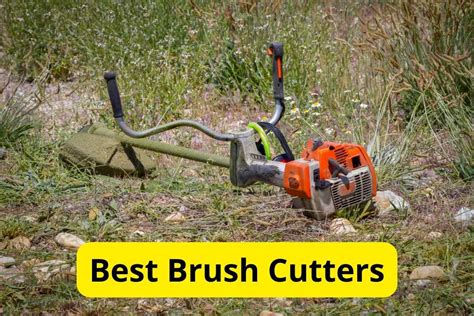 8 Best Brush Cutters Of 2024 [reviews] Lawnstarter