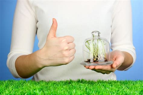 Premium Photo Hands Protect Grass Under Glass Cover