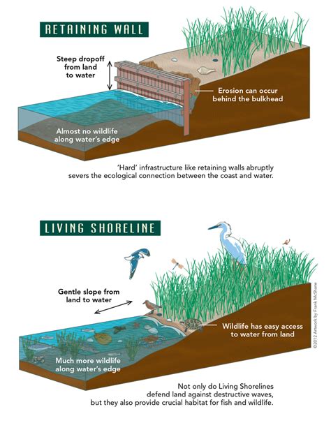 Retaining Wall Vs Ls Partnership For The Delaware Estuary