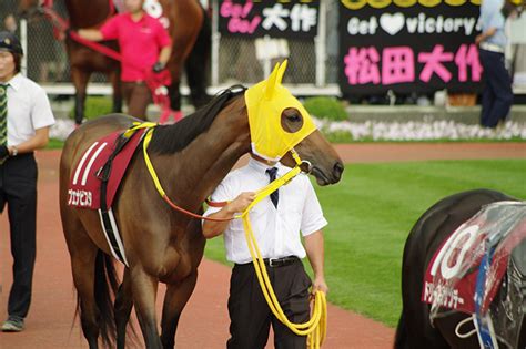 競馬ブックのフォトパドックとは？馬体の見方、活用方法、口コミや評判 競馬情報サイト