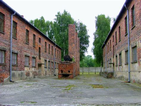 Z Warszawy Całodniowa wycieczka z przewodnikiem do Auschwitz Birkenau