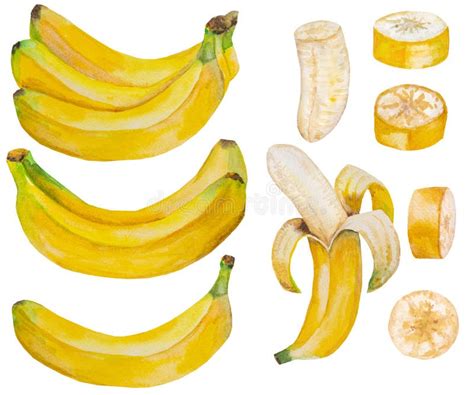 Watercolor Yellow Ripe Bananas Whole And Half Of Banana Peeled And