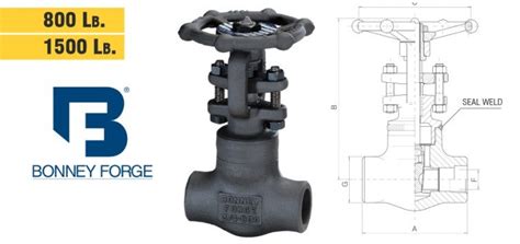 Bonney Gate Valve Api A Asme Lb Socket Weld