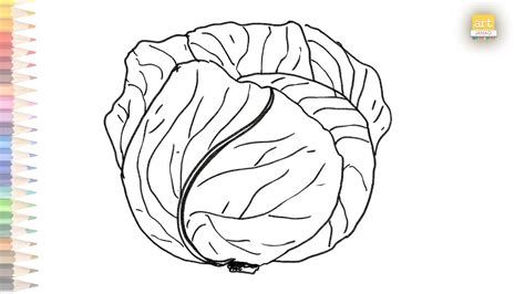 Cabbage Drawing Easy How To Draw Cabbage Step By Step Vegetable