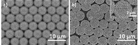 Sem Images Of Urchin Like Zno Au Structures A Before And B After