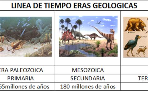 Linea Del Tiempo De Las Eras Geologicas Linea Del Tiempo De Eras Images Otosection