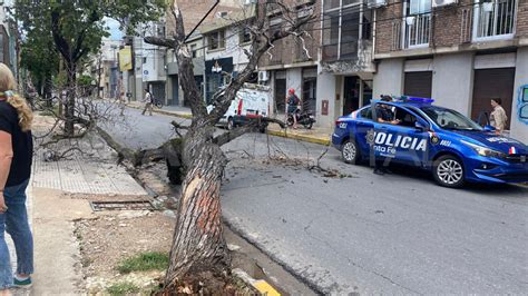 Impactante Video Un Rbol Cay En Pleno Centro De La Ciudad De Santa Fe