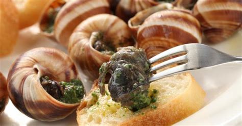 Comment Cuisiner Les Escargots Fourchette Et Bikini