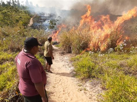 Queimada atinge área de vegetação de aldeias em reserva indígena de