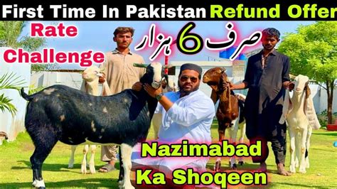 Biggest Offer Bakra Sab Se Sasta Pore Pakistan Me Bakra Qurbani