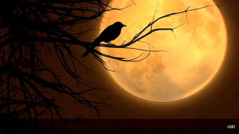 A Crow N' Full Moon 002 by LowThunders on DeviantArt