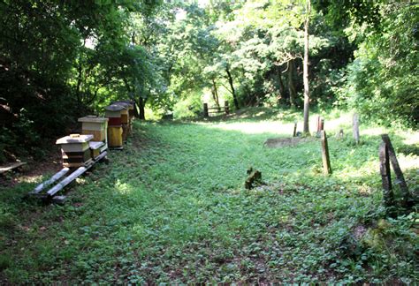 Vadovce Jewish Cemetery Esjf Surveys