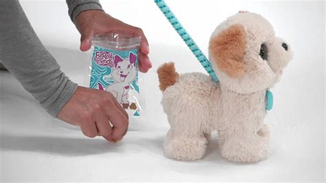 Smyths Toys Pax My Poopin Pup Toy Youtube