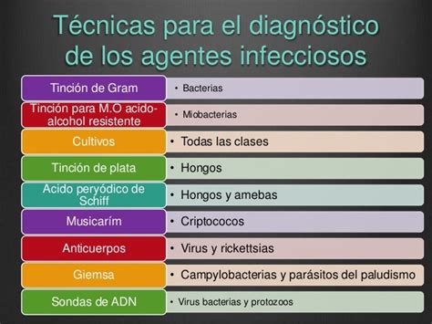 Proceso Infeccioso