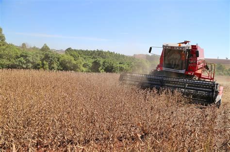 Copacol Portal Do Agroneg Cio Agricultura Vive Per Odo De Colheita