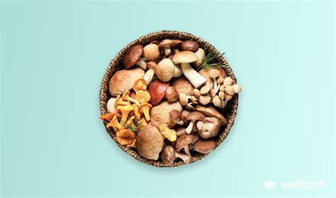 Mushroom For Energy And Weight Loss at Trevor Youmans blog