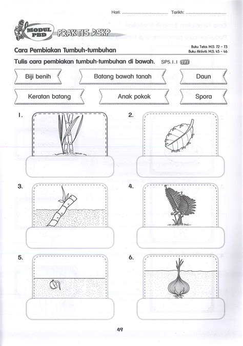 Lembaran Kerja Sains Tahun 2