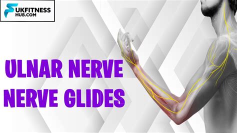 10 Best Ulnar Nerve Exercises Images Ulnar Nerve Ulnar Nerve | Images ...