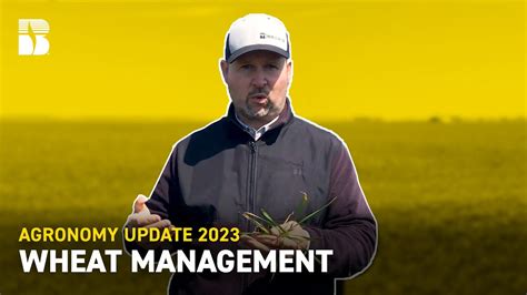 Wheat Management Becks Agronomy Update Youtube