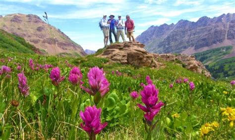 Crested Butte Wildflower Festival | 2025 July Event - Uncover Colorado