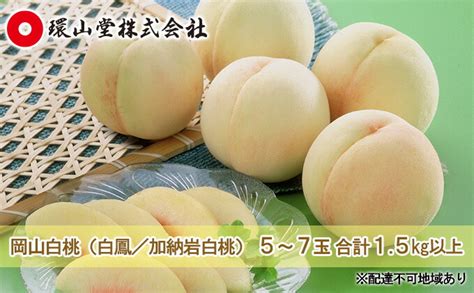 【楽天市場】【ふるさと納税】桃 2025年 先行予約 岡山 白桃（品種：白鳳／加納岩白桃）5～7玉 合計15kg以上 もも モモ 岡山県産