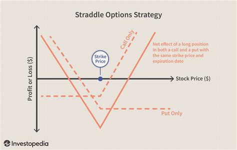 10 Options Strategies Every Investor Should Know