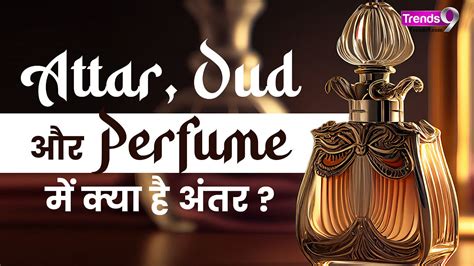 How Attar Oud And Perfumes Are Different Know Everything Watch Video Trends9