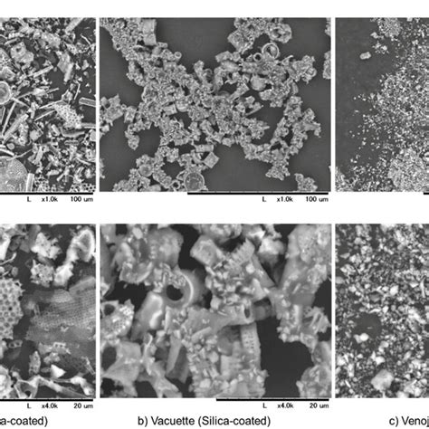 Scanning Electron Microscopy Sem Observations Of Silica Download