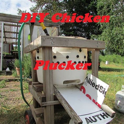 Diy Homemade Chicken Plucker Design Chicken Plucker Building A