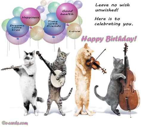 Cat Birthday Band - Happy Birthday Song