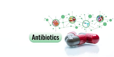 Come Si Classificano E Dividono Gli Antibiotici