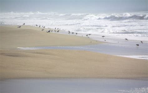 La Selva Beach, Watsonville, CA - California Beaches