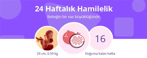 Haftal K Gebelik Hafta Hafta Hamilelik Anneysen