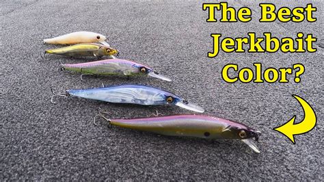 The Best Jerkbait Colors Youtube