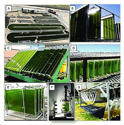 Main Photobioreactors Used For Microalgae Cultures A Open Ponds Download Scientific Diagram