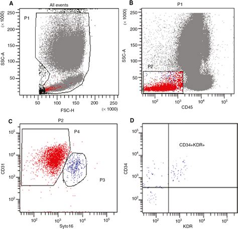 Flow Cytometric Detection Of Endothelial Progenitor Cells Epc In