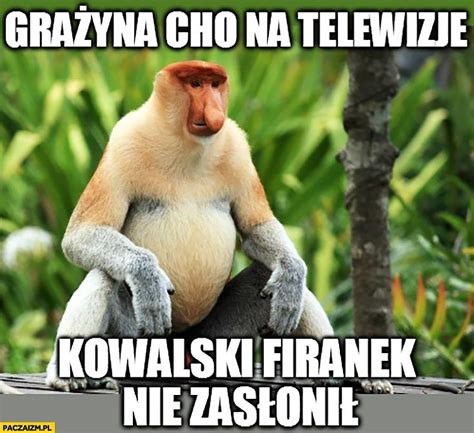 Znacie Janusza z memów NAJNOWSZE MEMY Dziennik Zachodni