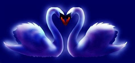 Two_Swans_Make_Heart_by_Suu9991.jpg - Linda Humphries