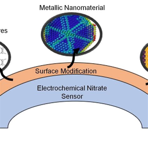 Materials Used For The Surface Modification Of The Working Electrode