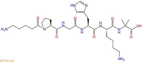 六肽Ava Pro Gly His Lys Aib H2N Ava Pro Gly His Lys Aib OH H2N Ava PGHK