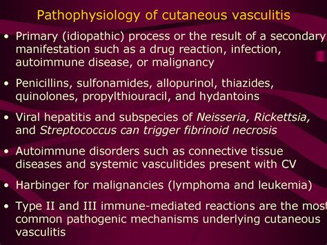 Cutaneous Vasculitis Oktay Taşkapan Md Ppt Download