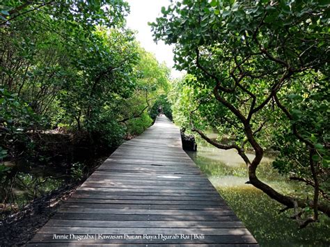 Taman Hutan Raya Tahura Ngurah Rai Destinasi Wisata Alam Hutan