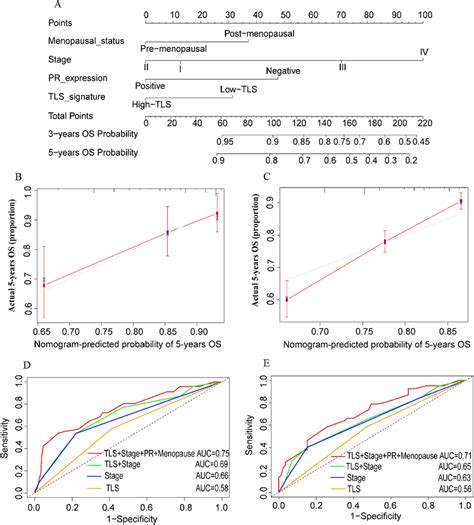 Nomogram And Calibration Plots For Predicting 5 Year OS A Nomogram