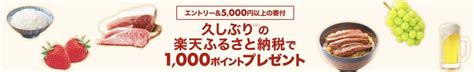 【2024年1月】楽天ふるさと納税はいつがお得？タイミングの狙い方を解説